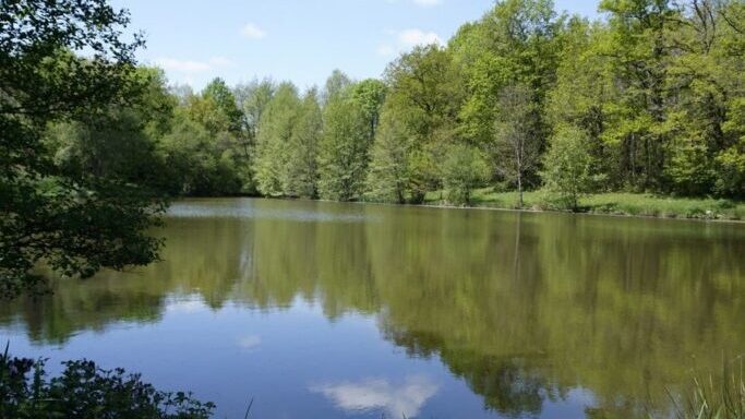 Lac Lucie – Carpfrance