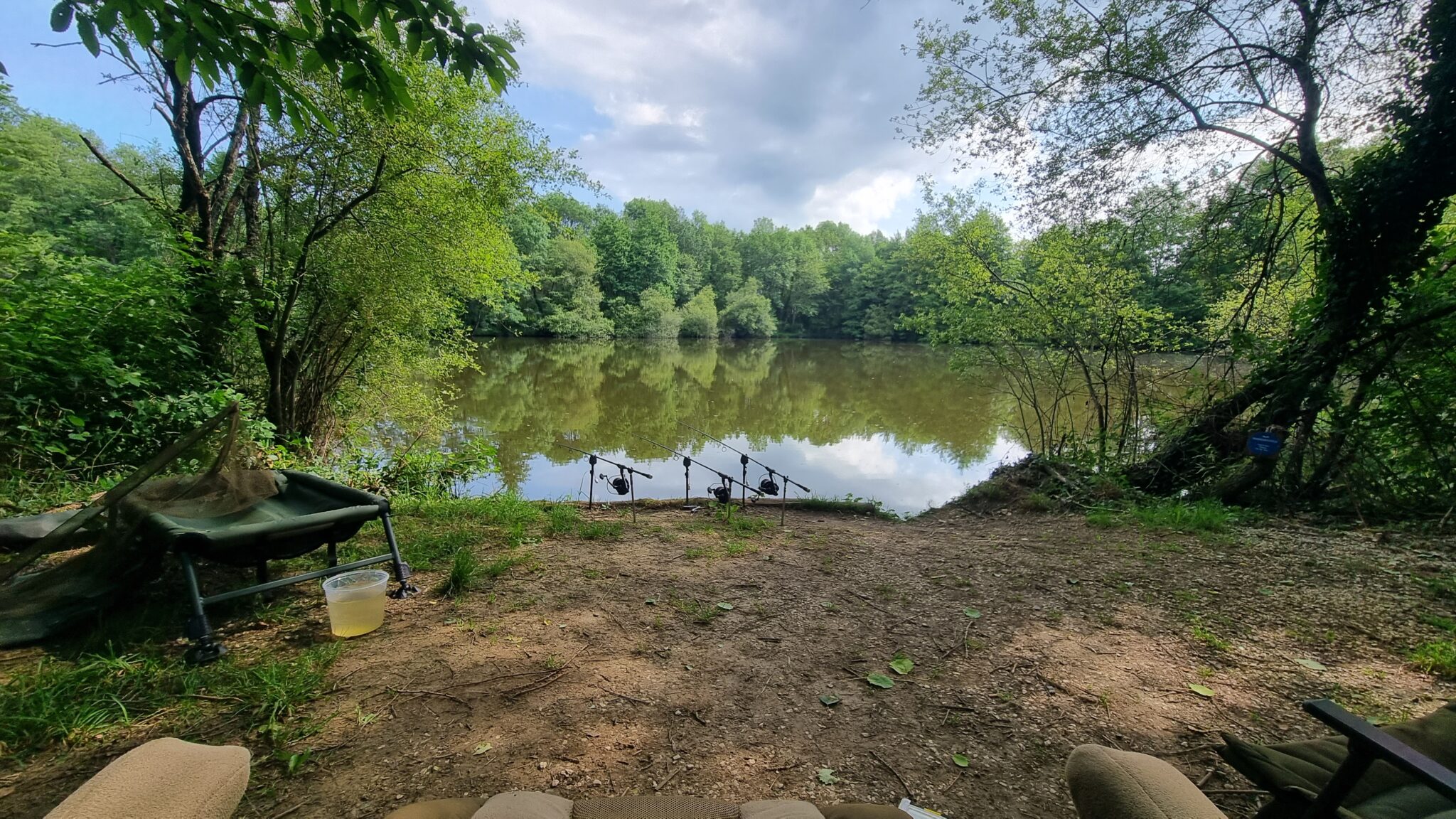 Kingfisher Lake Carpfrance