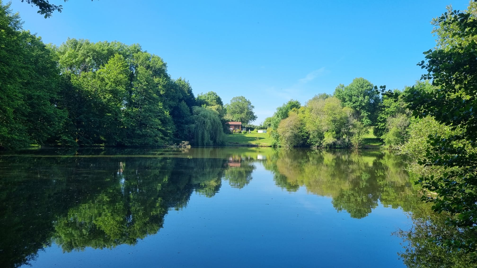 Kingfisher Lake Carpfrance